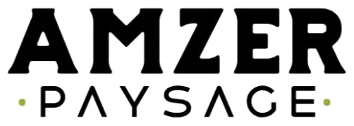 Amzer Logo